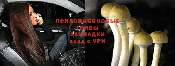 спайс Няндома