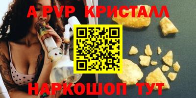 крисы Гагарин