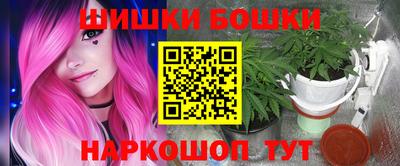 крисы Гагарин