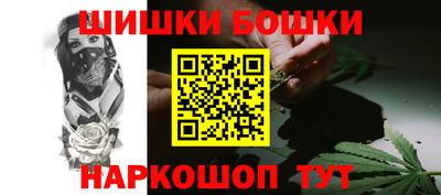 шишки Гай