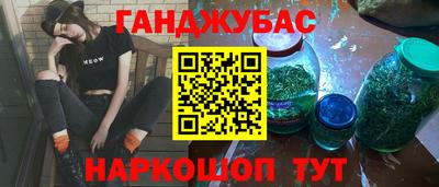 шишки Гай