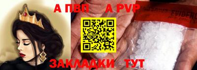 шишки Гай