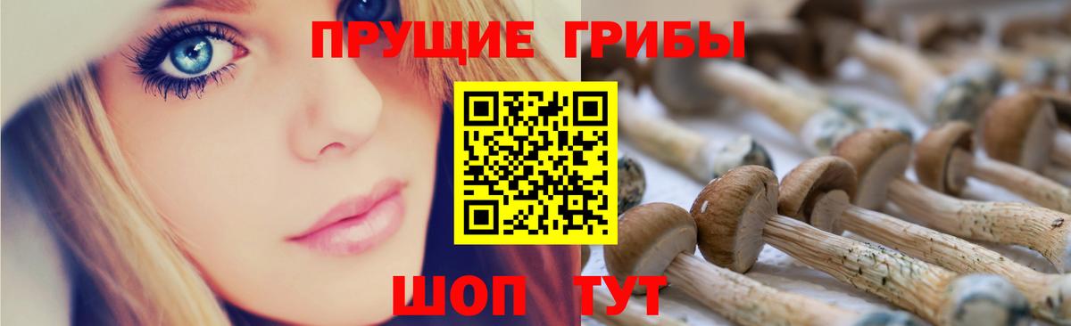 Галлюциногенные грибы GOLDEN TEACHER Мыски