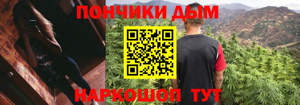 Каннабис план Мыски